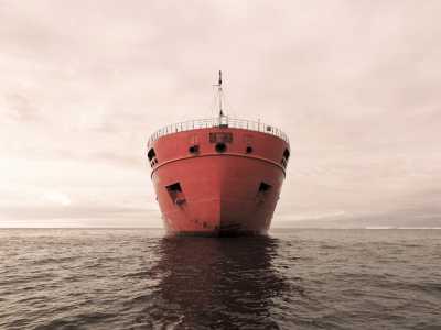 La spedizione era composta da 160 persone, salpate a bordo della rompighiaccio russa Akademik Tryoshnikov